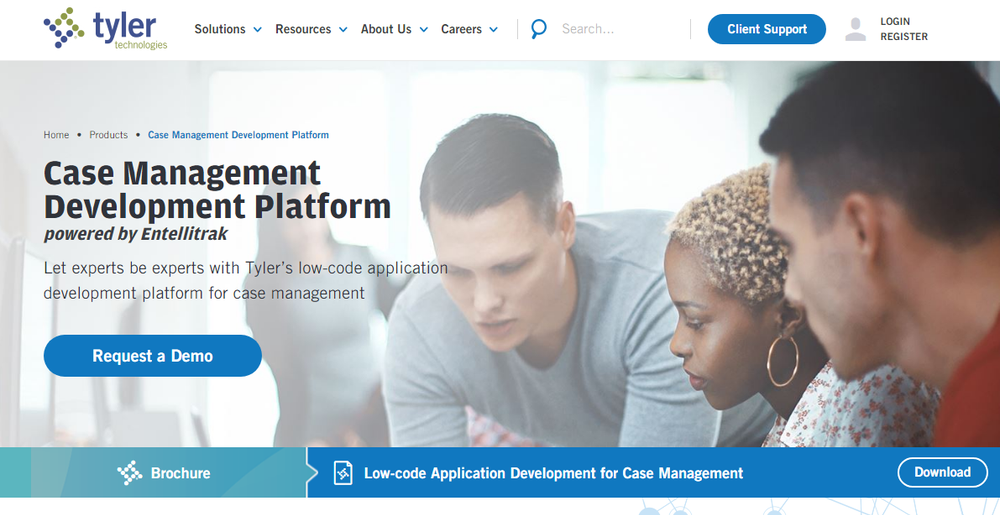 Tyler Case Management Development Platform Screenshot 1