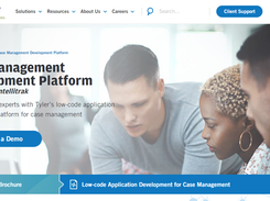 Tyler Case Management Development Platform Screenshot 1