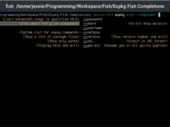 An example of command option completion.