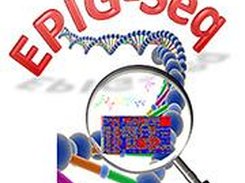 EPIG-Seq Screenshot 1
