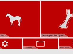 Equus - Horse Education Screenshot 1