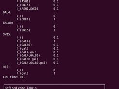 Output for IRMA application.