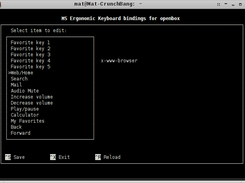 Terminal options dialog