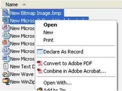 Context Menu in Windows Explorer