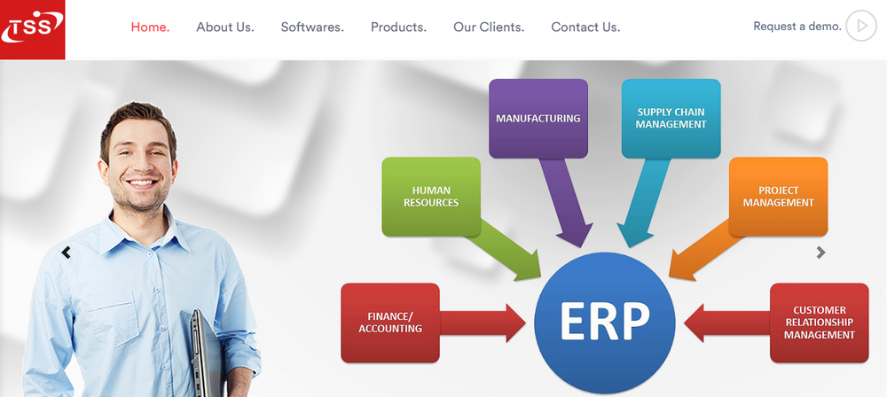 TSS ERP Screenshot 1