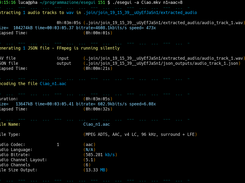 Audio Encoding