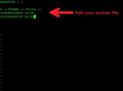 Edit your auction file