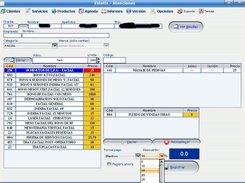 Main application screen. Everything starts here