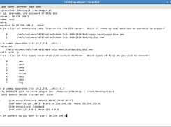 ESXi Forensic Imaging Screenshot 2