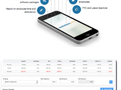 SolutionCorp Online Timesheet Screenshot 1