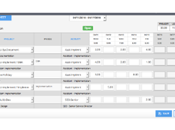 SolutionCorp Online Timesheet Screenshot 1