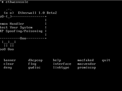 ethwconsole