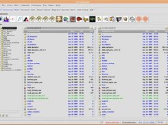 Main page with open directory tree