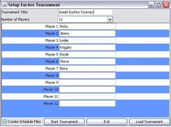 The setup dialog for the tournament