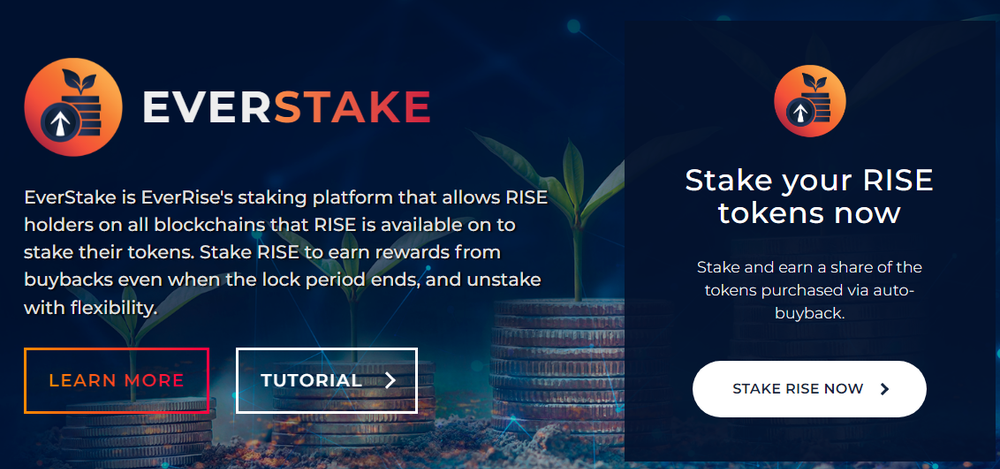 EverStake Screenshot 1