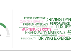 The most common words and sentiment used when AI models describe your brand vs. competitors.