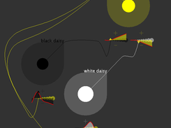 Daisy world schema relation