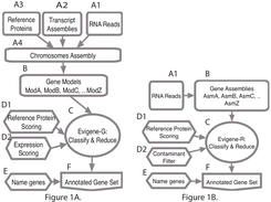 Gene Reconstruction Pipelines