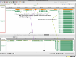 Accurate build of 5 genes