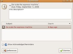 Standard reminder view, with the item details pane visible.