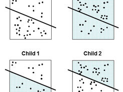 Crossover operation for evolving topologies