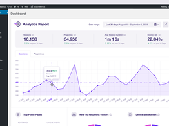 ExactMetrics Screenshot 1