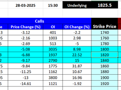 Excel - NSE Stock Option Chain Pictures 4