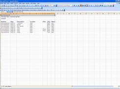 Excel Document with Expanded Columns