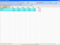 Excel Document with summaries and styles