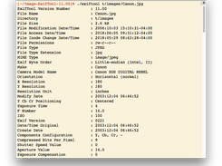 Basic usage for extracting metadata