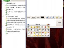 XMSN CHAT WINDOWS
