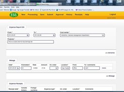 Browser report entry
