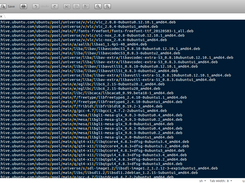 Package Download File
