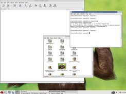 Normal GNOME desktop with Exposed daemon started