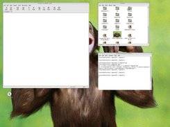 Exposed in Shrink-N-Show mode