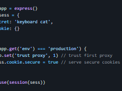 express-session Screenshot 2