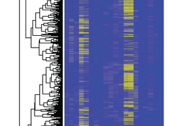 Example: How attribute tracking scores may be visualized to identify heterogenous groups of subjects. Attributes on x-axis, Subjects on y-axis.  Hierarchical clustering applied to both.