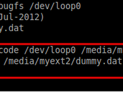Code extraction w/ decoder tool