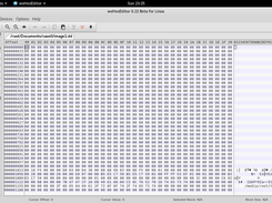 Raw image opened in Hex Editor