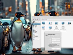 A Samba connection in Build 251102