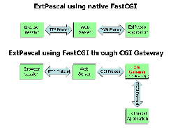 Unix CGI also