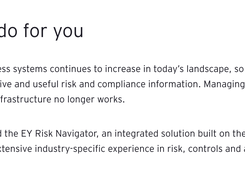 EY Risk Navigator Screenshot 1