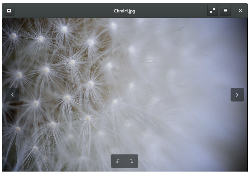 Eye Of Gnome Screenshot 1