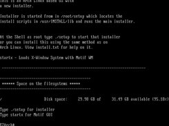 Command Line after auto log in