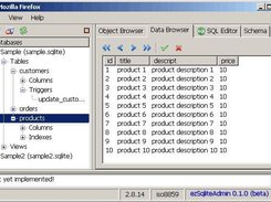Data View