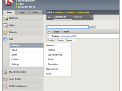 F5 BIG-IP DNS Screenshot 1