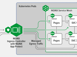 F5 NGINX Ingress Controller Screenshot 1