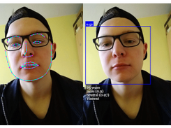 face-api.js Screenshot 1