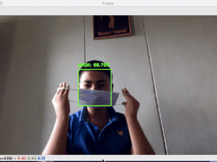 Face Mask Detection Screenshot 1