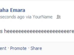 Facebook Status Updater Screenshot 1